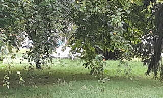 Terrain  770 m² à vendre à Goincourt (60000)