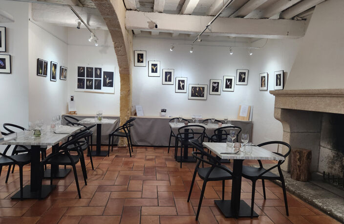 Arles   Hyper-centre — photo 5