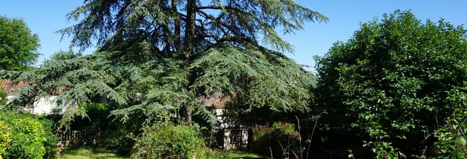 Maison 4 Pièces 65 m² à vendre à Castelnau-Montratier (46170)