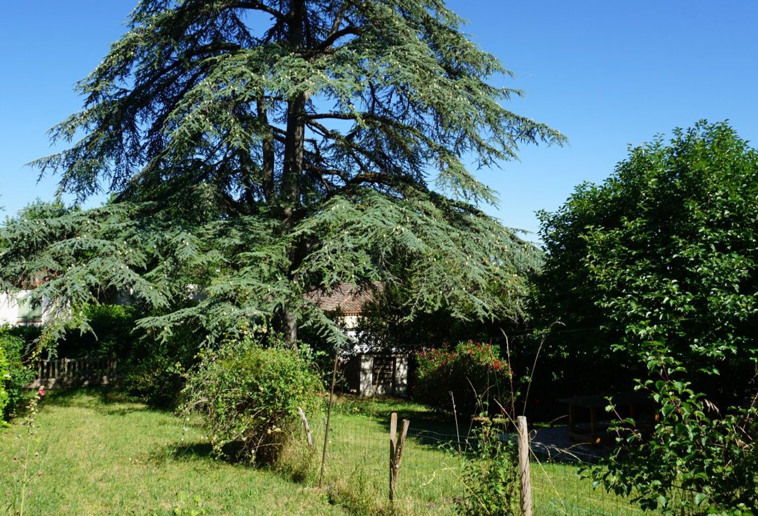 Maison de village avec jardin — photo 1