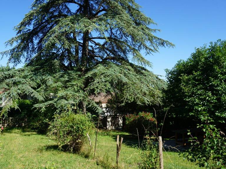 Maison de village avec jardin — photo 1