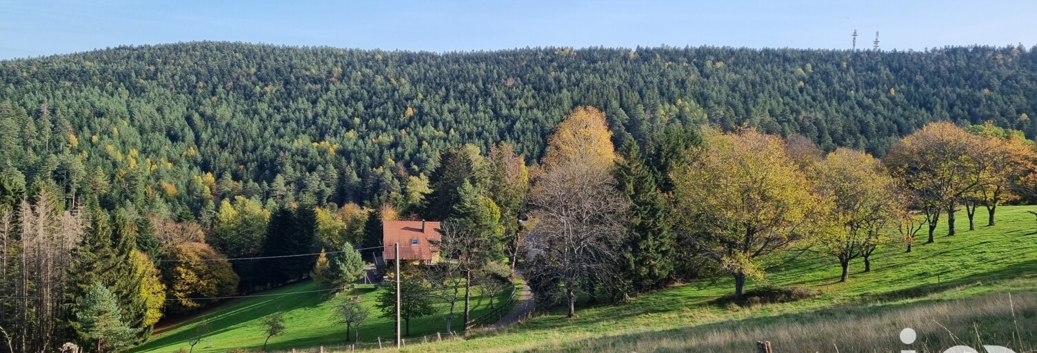 Terrain  2300 m² à vendre à Dabo (57850)