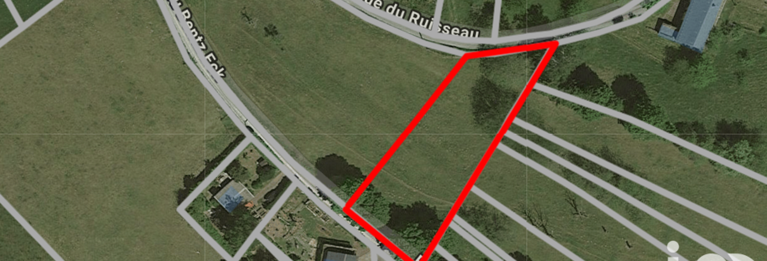 Terrain  1700 m² à vendre à Dabo (57850)