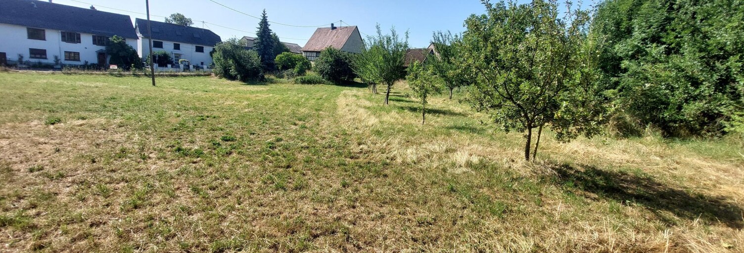 Terrain  860 m² à vendre à Dimbsthal (67440)