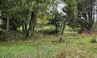 Terrain  6238 m² à vendre à Villeneuve-sur-Yonne (89500)