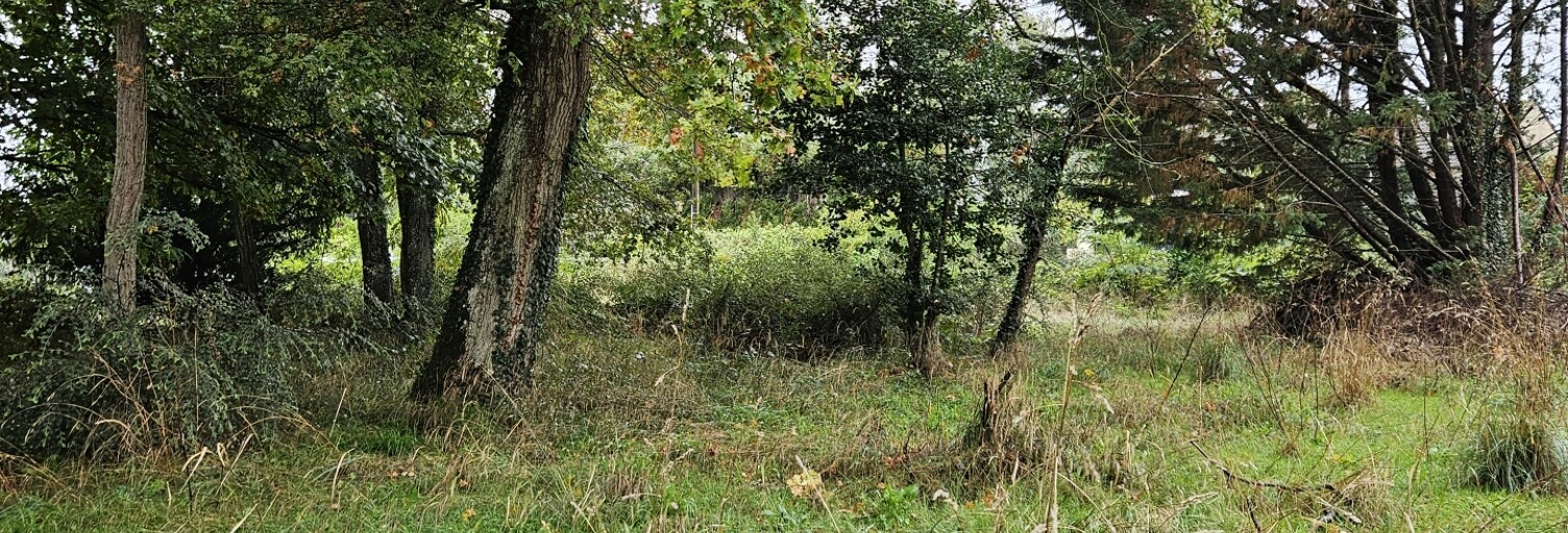 Terrain  6238 m² à vendre à Villeneuve-sur-Yonne (89500)