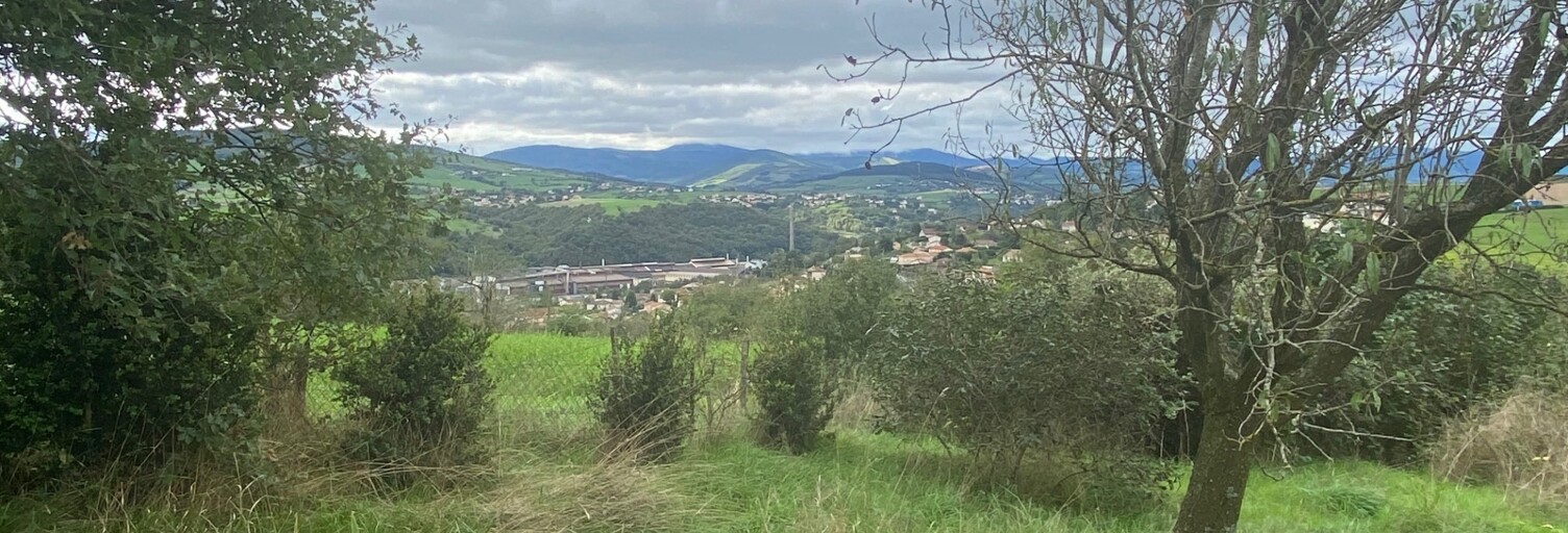 Maison 2 Pièces 40 m² à vendre à Chabanière (69440)