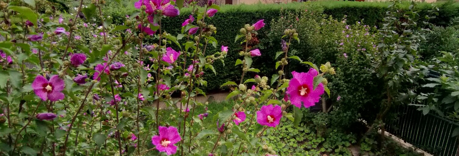 Appartement 3 Pièces 70 m² à vendre à Oullins-Pierre-Bénite (69310)