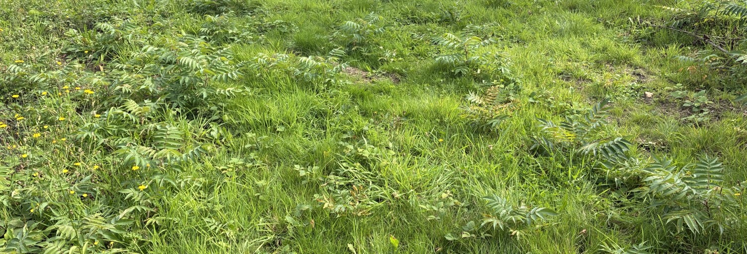 Terrain  470 m² à vendre à Saint-Jean-de-la-Neuville (76210)