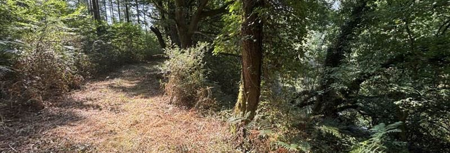 Terrain  4270 m² à vendre à Dournazac (87230)