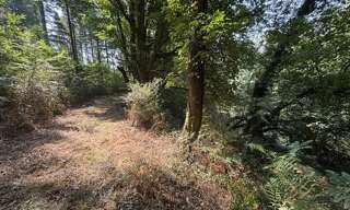 Terrain  4270 m² à vendre à Dournazac (87230)