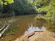 Etang de 0 pièces principales — photo 2