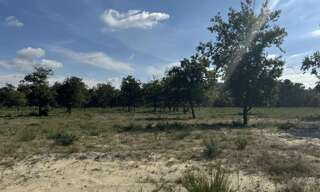 Terrain  2213 m² à vendre à Vensac (33590)