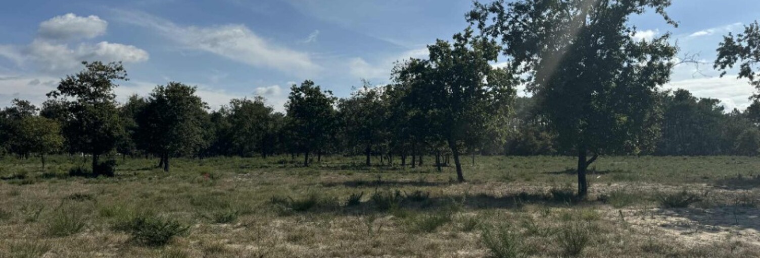 Terrain  2213 m² à vendre à Vensac (33590)