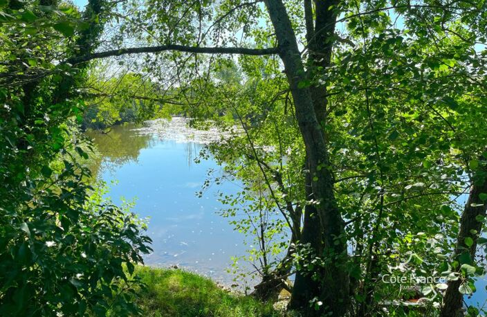 À vendre   Exceptionnel terrain constructible de 3100 m2 ave — photo 4