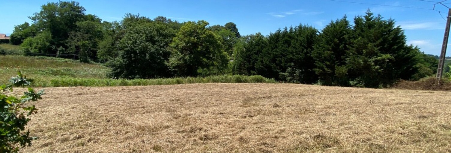 Terrain  1754 m² à vendre à Sames (64520)