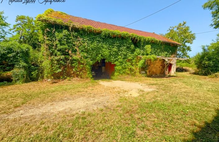 Maison EN PIERRE à vendre 5 pièces CUBJAC (24) 148 m² AVEC GRANGE 100 m² SUR TERRAIN 6133 m² zone ZC — photo 3