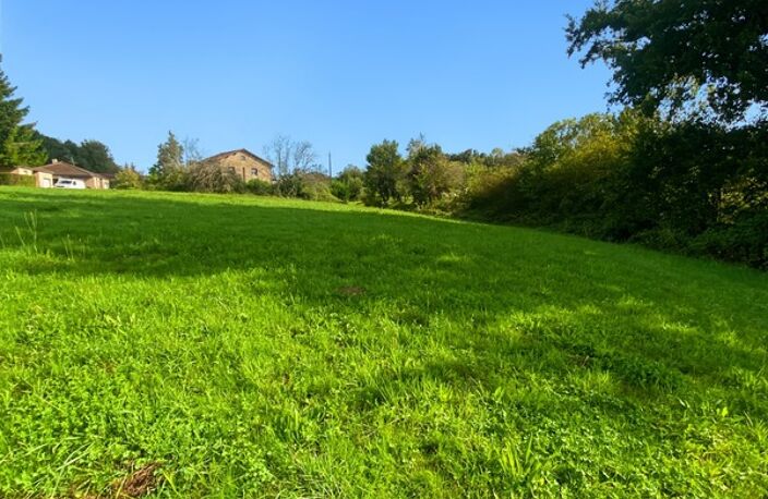 Terrain à vendre  CONDAL (71) - 800m² constructible — photo 3