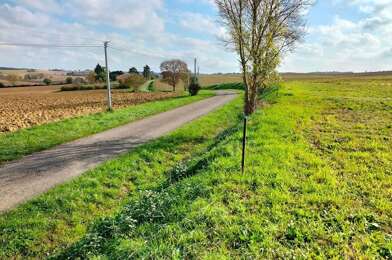 Terrain  29000 €