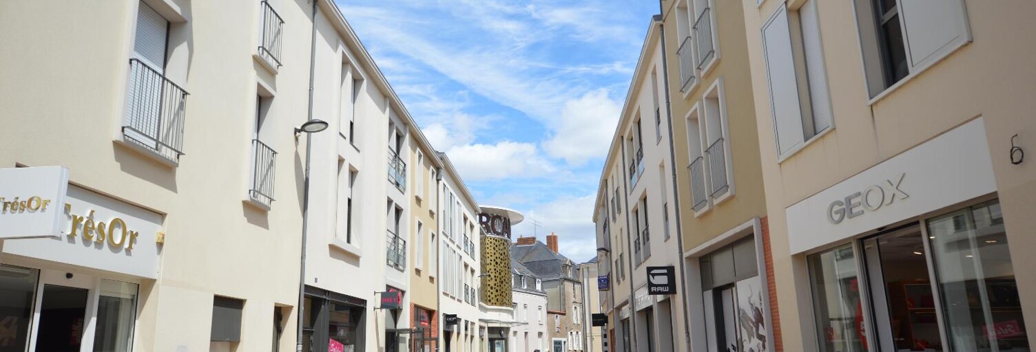 Appartement 2 Pièces 40 m² à louer à Cholet (49300)