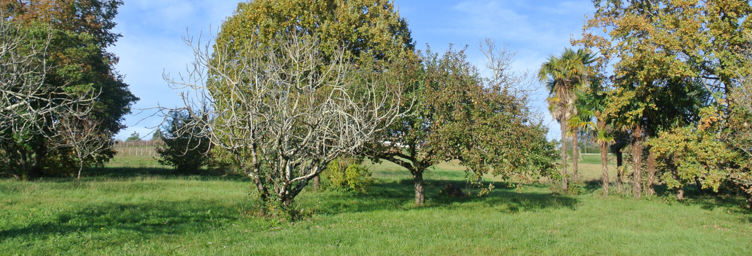 Terrain  1250 m² à vendre à Beaupuy (47200)