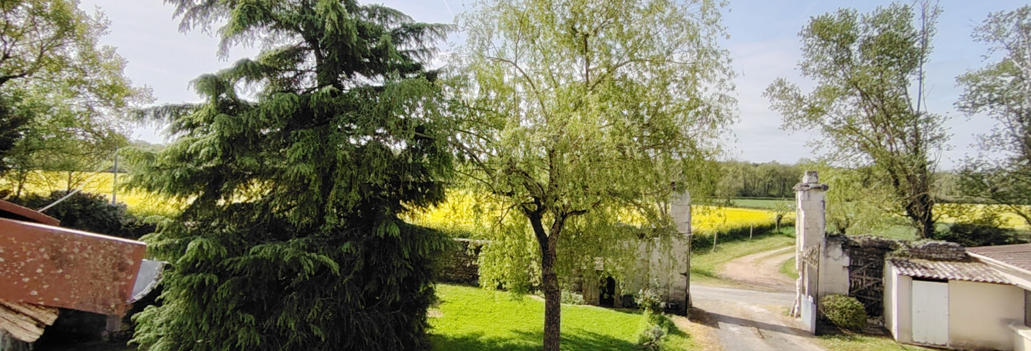 Photo N° 2