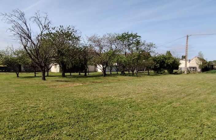 Corps de ferme de caractère - 210 m2 habitable - 5260 m2 ter — photo 4