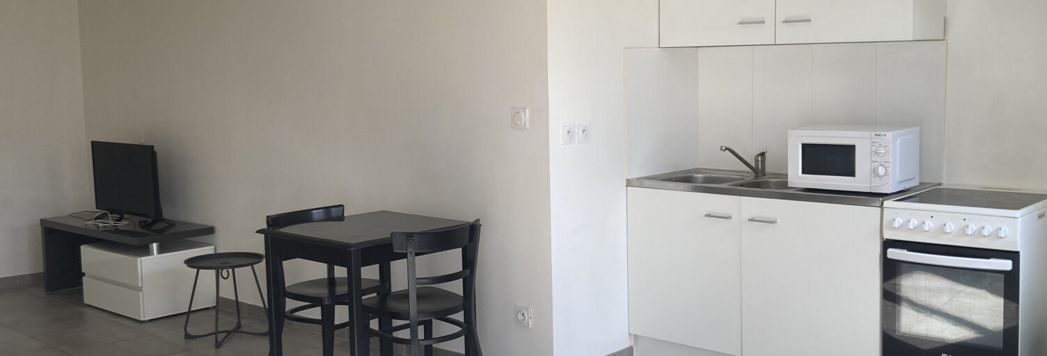 Appartement 1 Pièce 35 m² à louer à Loyettes (01360)