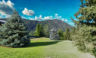 Terrain  1345 m² à vendre à Saint-Sigismond (74300)