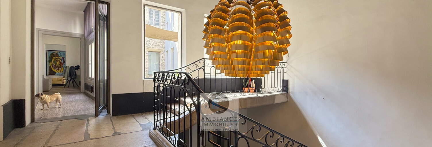 Appartement 9 Pièces 358 m² à vendre à Valence (26000)