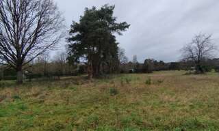 Terrain  2496 m² à vendre à Villefranche-sur-Cher (41200)