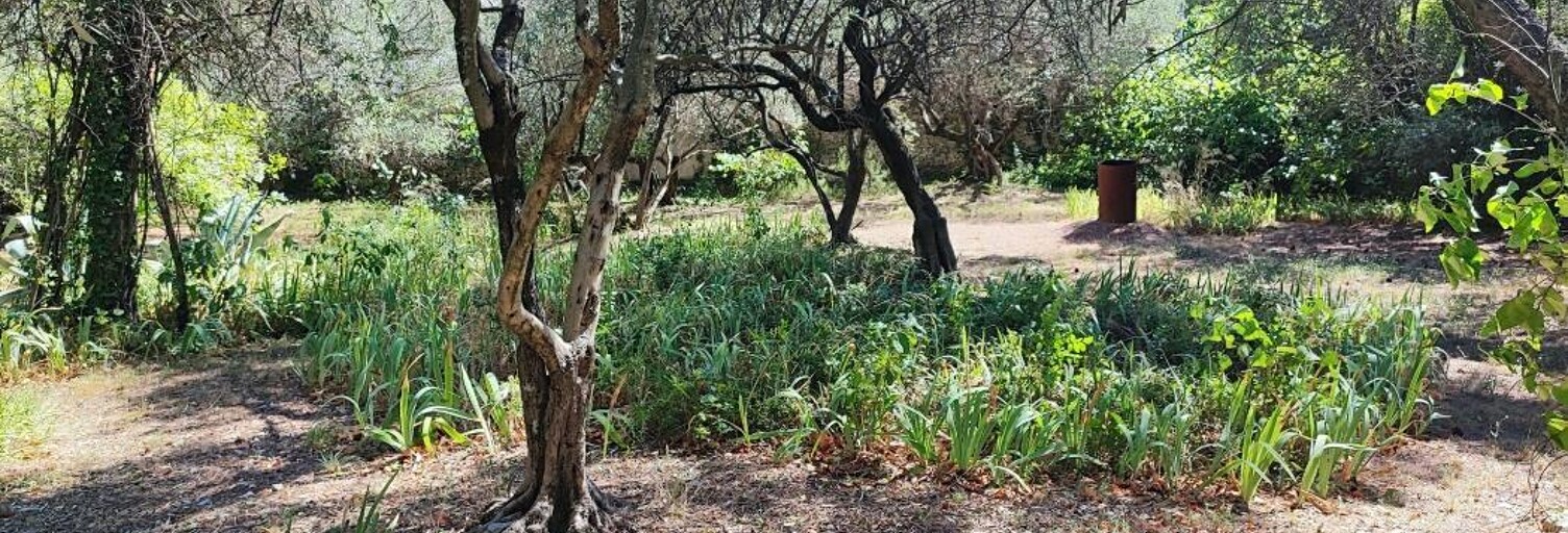 Terrain   m² à vendre à Nîmes (30000)