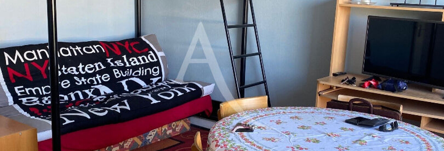 Appartement 1 Pièce 30 m² à louer à Sully-sur-Loire (45600)