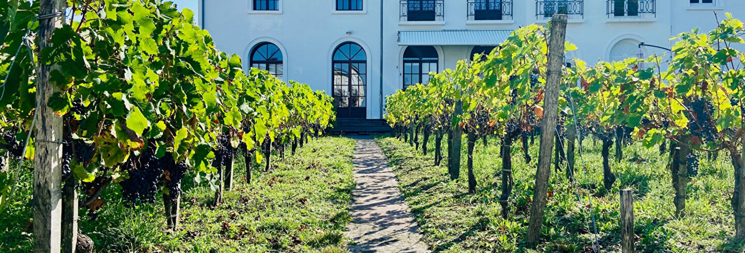 Maison 6 Pièces 212 m² à vendre à Saint-Vivien-de-Médoc (33590)