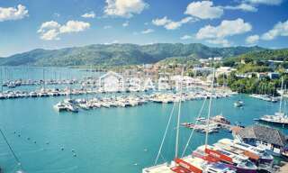 Appartement 3 Pièces 66 m² à vendre à Le Marin (97290)