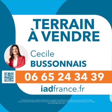 Terrain  210000 €