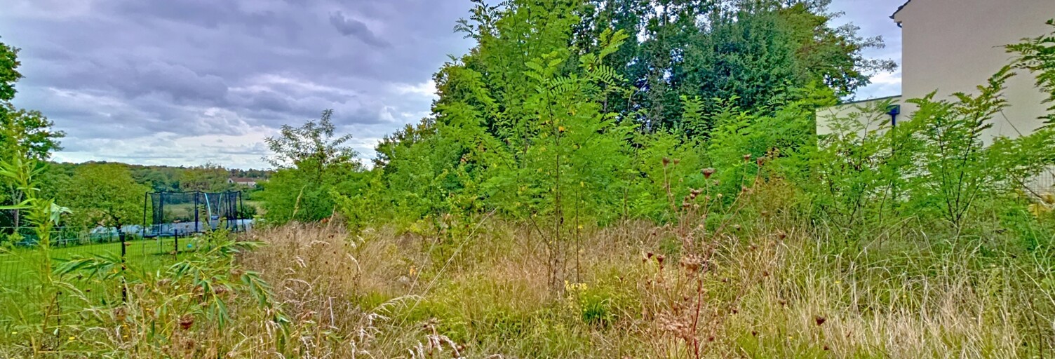 Terrain  1424 m² à vendre à Soignolles-en-Brie (77111)
