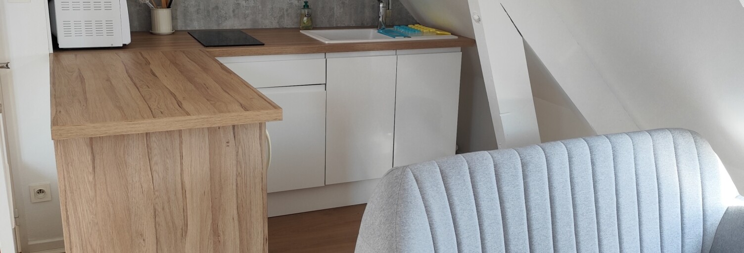 Appartement 1 Pièce 26 m² à vendre à Olivet (45160)