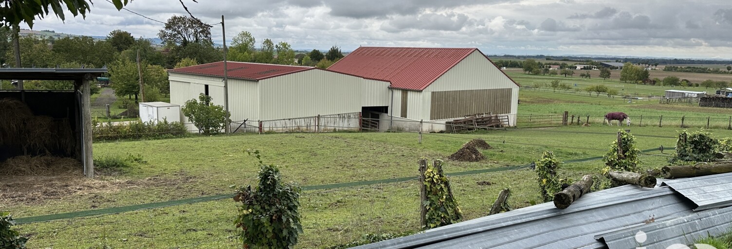 Terrain  6262 m² à vendre à Souligny (10320)