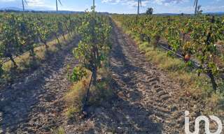 Terrain  29000 m² à vendre à Canet (11200)