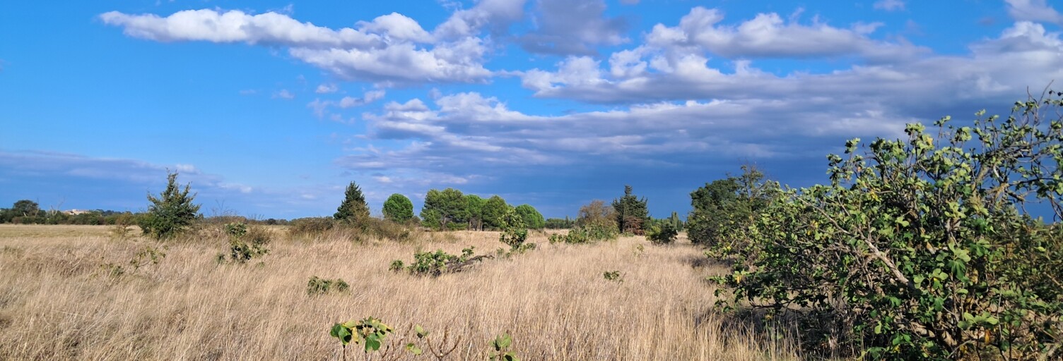 Terrain  29000 m² à vendre à Canet (11200)