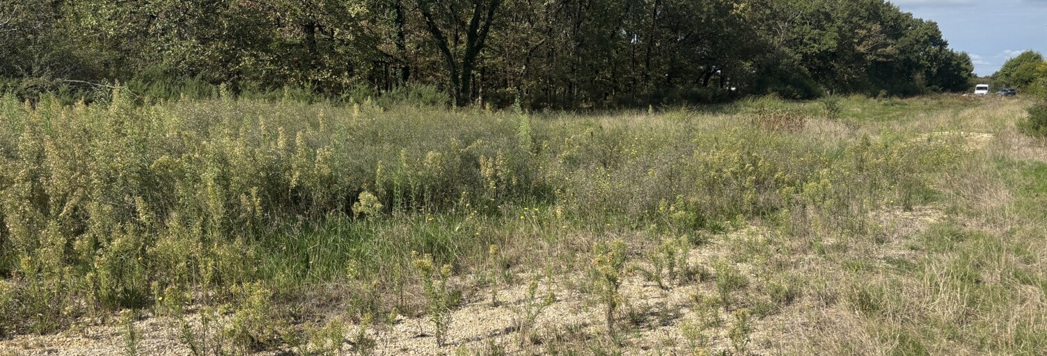 Terrain  1100 m² à vendre à La Ville-Dieu-du-Temple (82290)