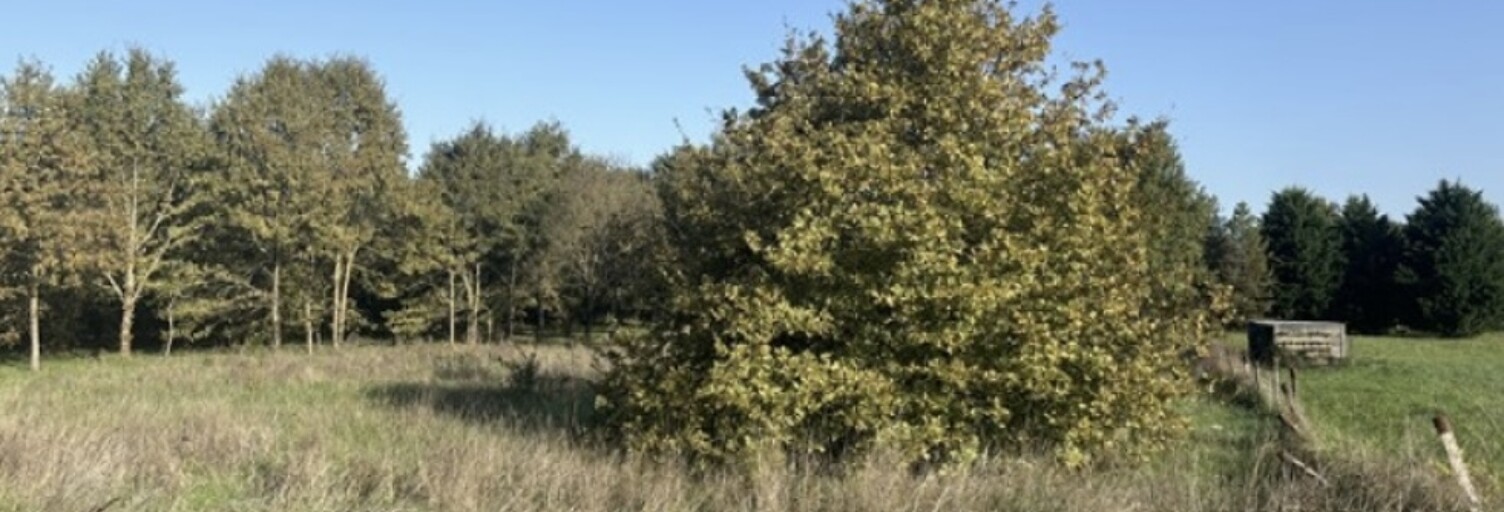 Terrain  3000 m² à vendre à Montbeton (82290)