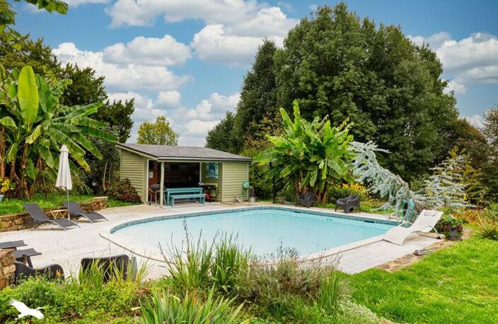 Vente maison 14 pièces 400 m² La Porcherie (87380) — photo 3