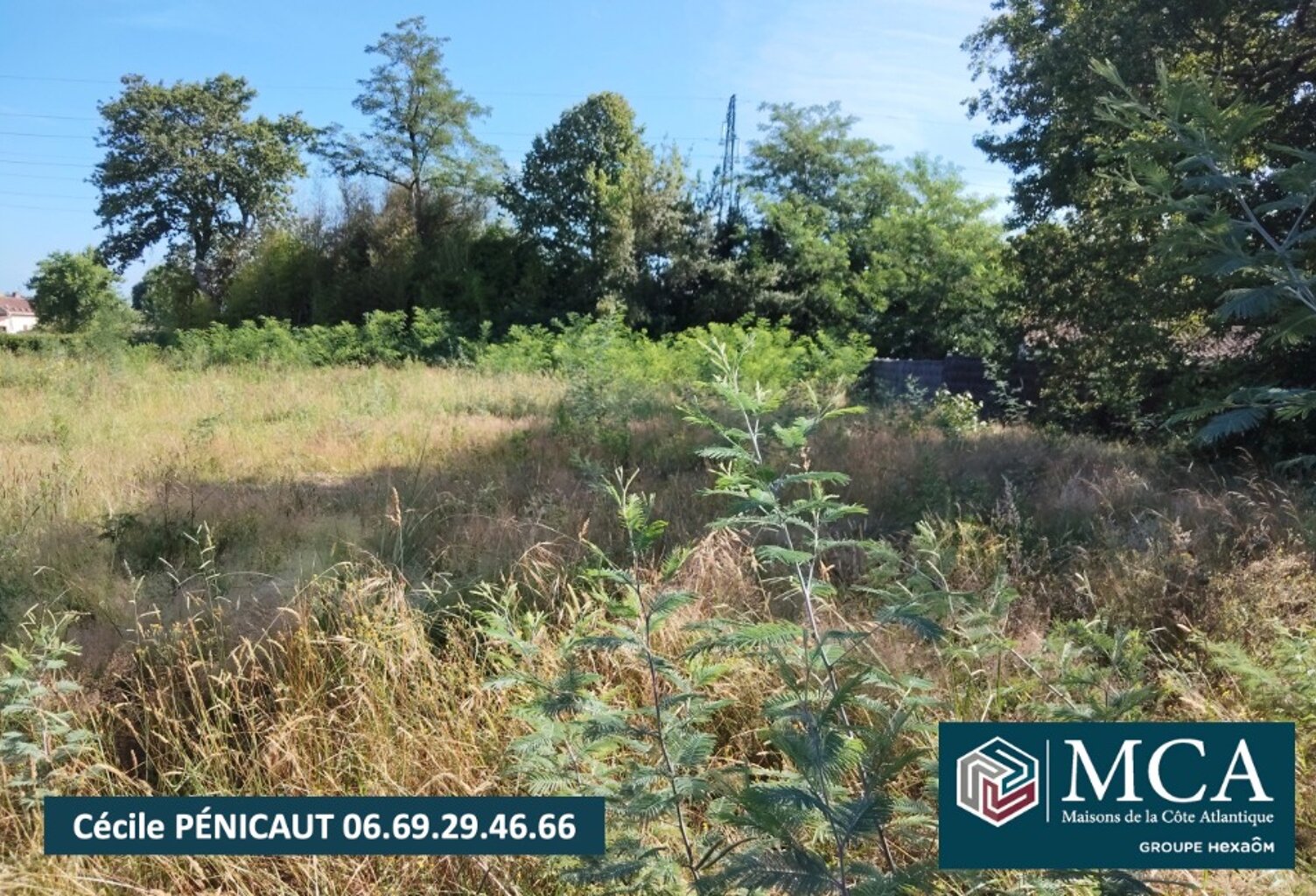 Terrain à bâtir à Narrosse (40180) — photo 1