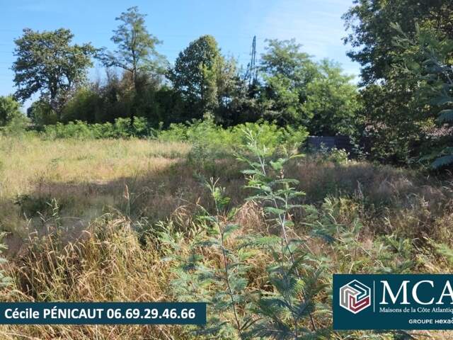 Terrain à bâtir à Narrosse (40180) — photo du bien