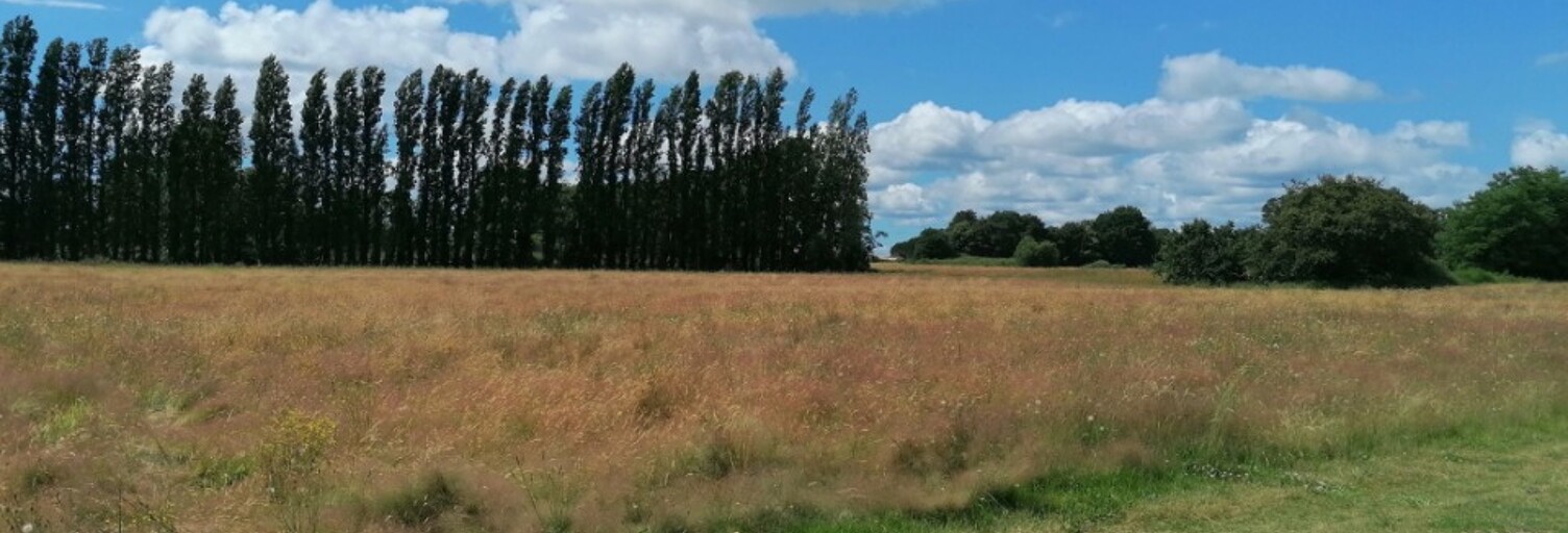 Terrain  427 m² à vendre à Hinx (40180)