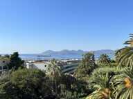 BASSE CALIFORNIE - 4P - LUXE - VUE MER — photo 2