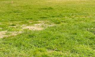 Terrain  700 m² à vendre à Ciré-d'Aunis (17290)