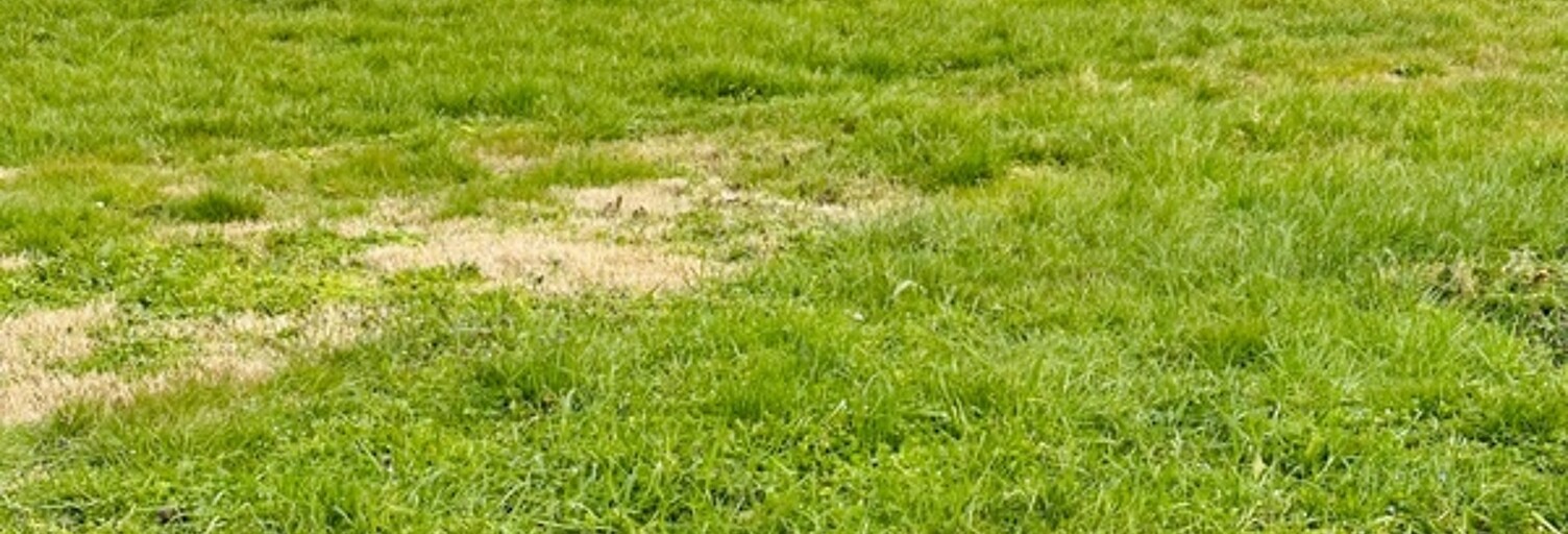 Terrain  700 m² à vendre à Ciré-d'Aunis (17290)